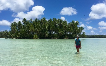 Graduate student Ana Miller-ter Kuile walks in the shallows in front of an islet at Palmyra Atoll